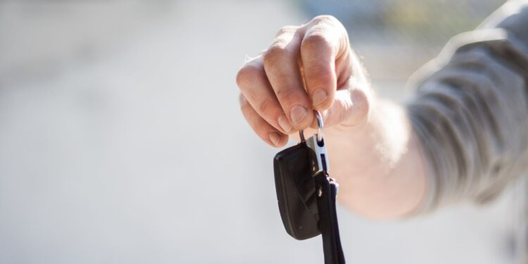 Career Capital: Leasing vs Ownership