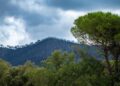 Climate risk reshapes entrepreneurial risk tolerance