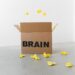 Cognitive biases skew career transitions amid rapid labor shifts