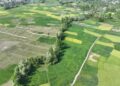 Cross‑border knowledge networks revive rural innovation