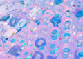 Data storytelling reshapes government transparency