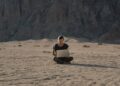 Digital nomads reshape work‑life balance and career success
