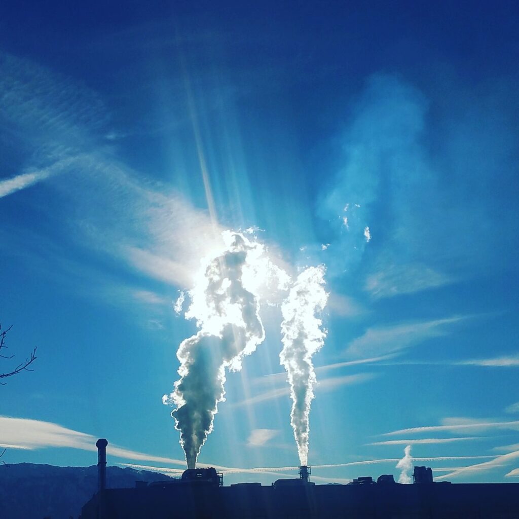 Eco-Friendly Products' Hidden Climate Cost