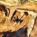 Environmental Impact Assessments Boost Small Business Economics