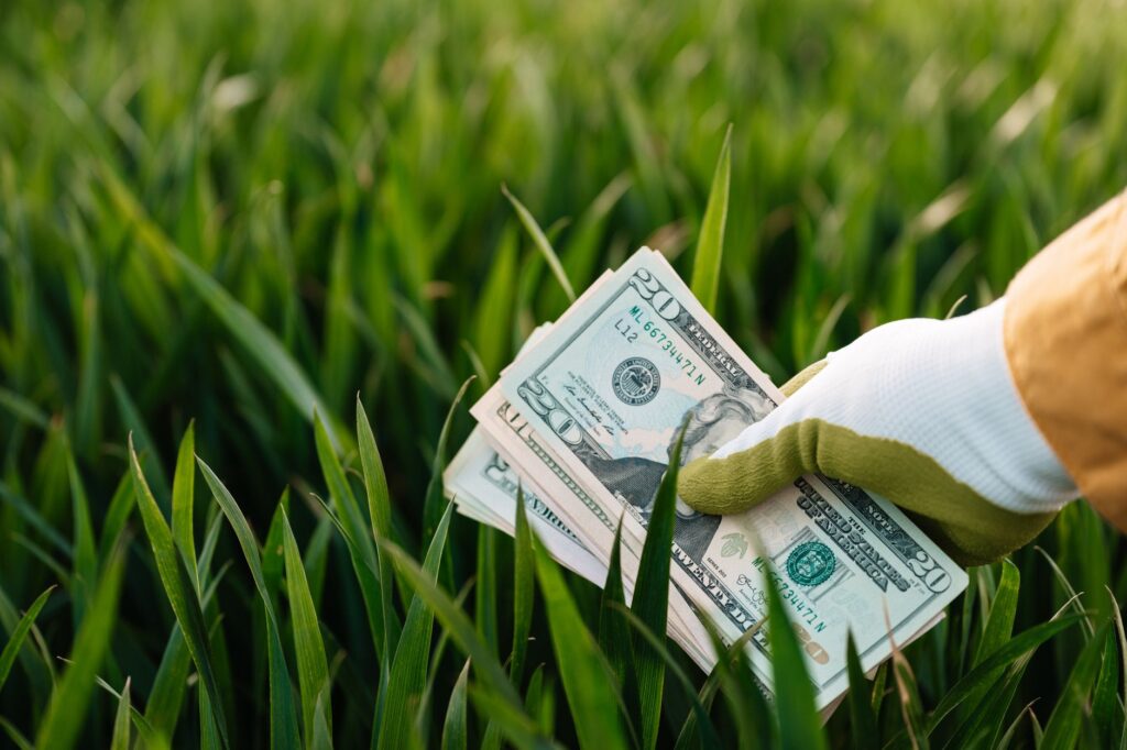 Environmental Impact Assessments Boost Small Business Economics