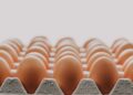 FDA Issues Nationwide Recall of Over 1.5 Million Dozen Egg Cartons Over Possible Salmonella Contamination