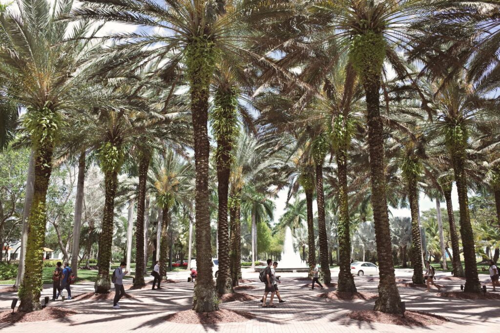 Florida Marks 10th Year as Top State for Higher Education, Launches “Florida 10 for 10” Scholarship