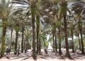Florida Marks 10th Year as Top State for Higher Education, Launches “Florida 10 for 10” Scholarship