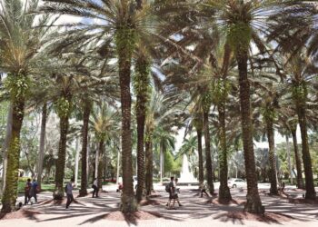 Florida Marks 10th Year as Top State for Higher Education, Launches “Florida 10 for 10” Scholarship