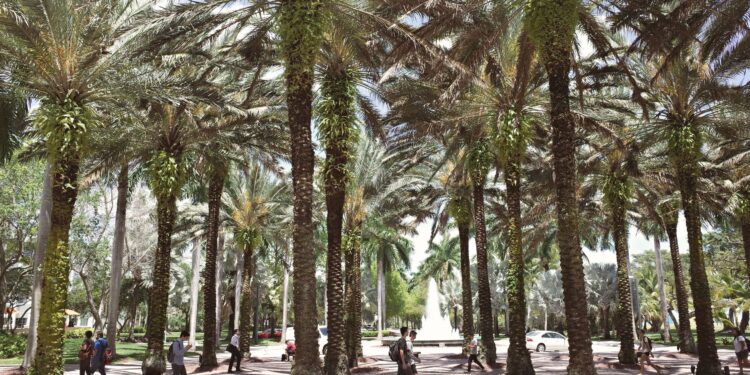 Florida Marks 10th Year as Top State for Higher Education, Launches “Florida 10 for 10” Scholarship