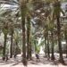 Florida Marks 10th Year as Top State for Higher Education, Launches “Florida 10 for 10” Scholarship