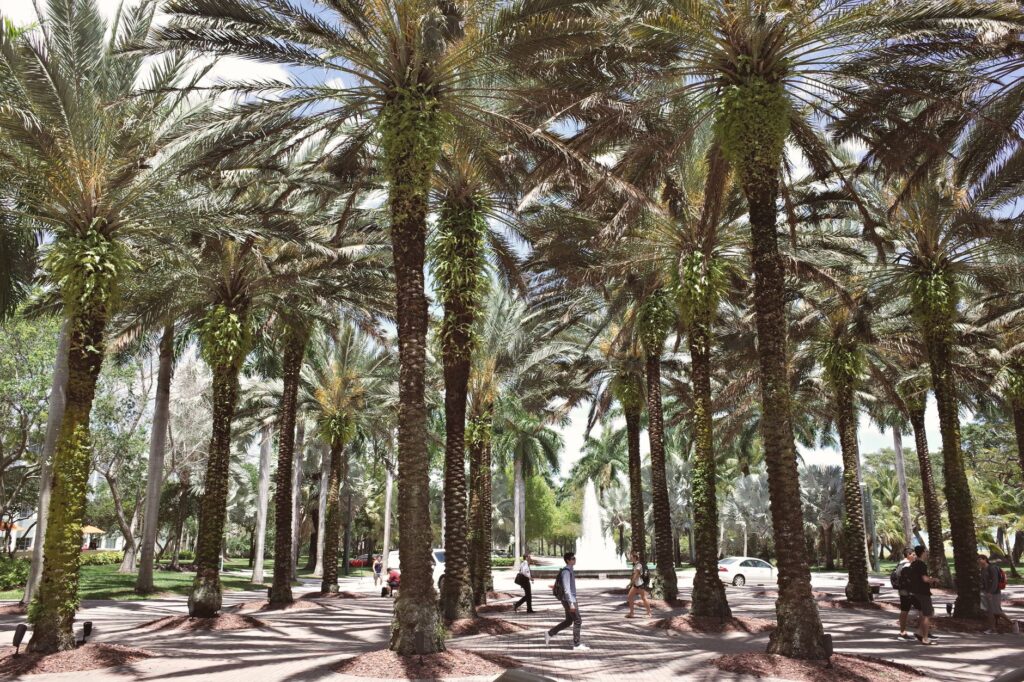 Florida Marks 10th Year as Top State for Higher Education, Launches “Florida 10 for 10” Scholarship