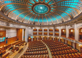 Government streamlining triggers new efficiency paradox