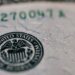 Government subsidies boost certification, but ROI gaps widen