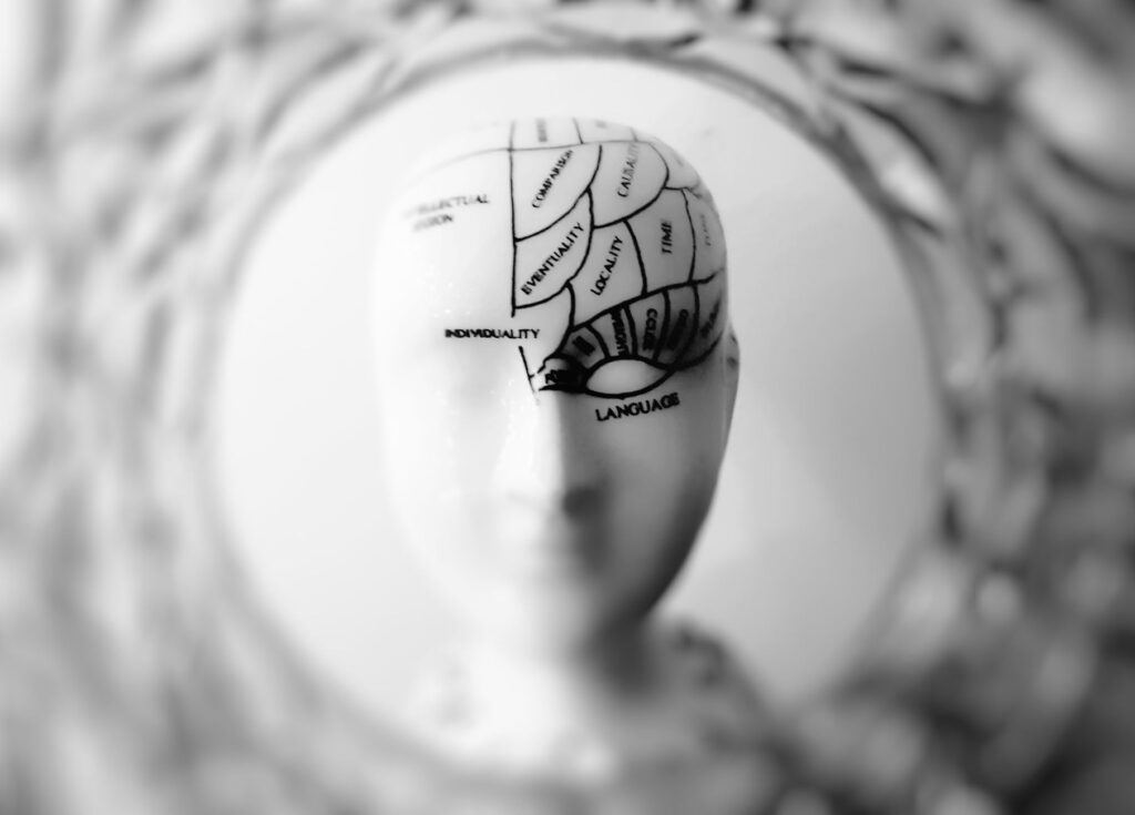 Human‑AI Teams Redefine Cognitive Capital in Knowledge Work