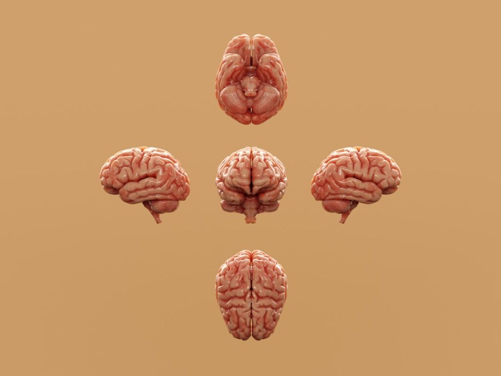 Human‑AI Teams Redefine Cognitive Capital in Knowledge Work