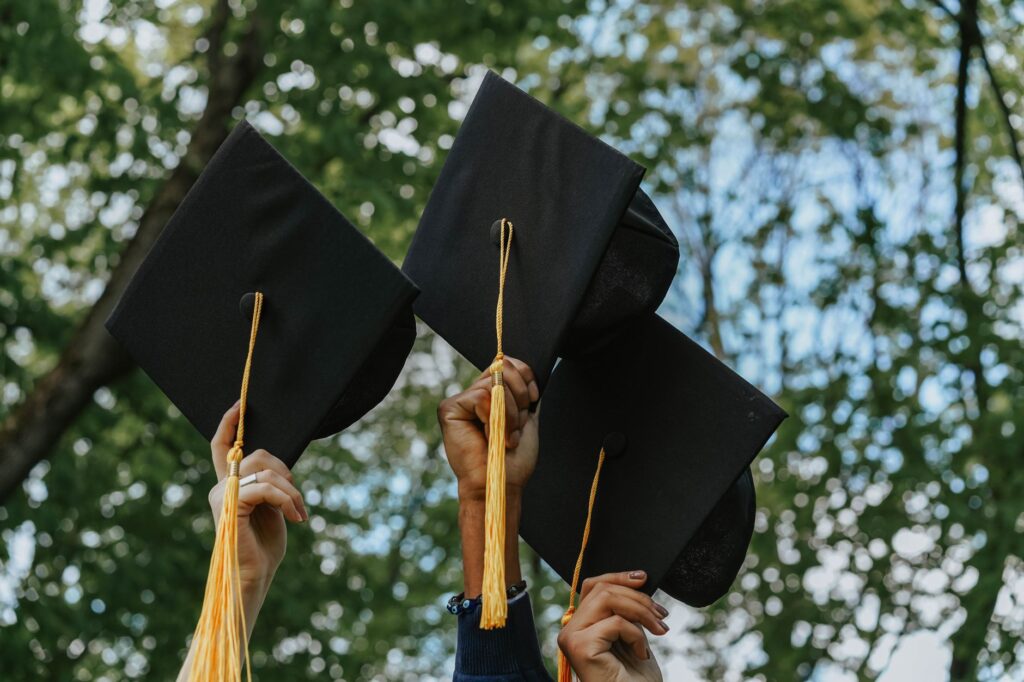 Hybrid academic councils reshape university governance