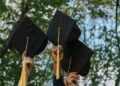 Hybrid academic councils reshape university governance