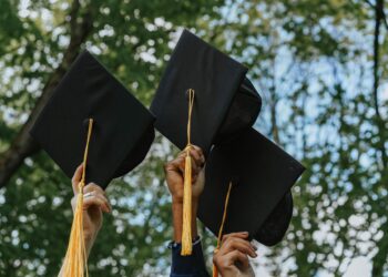 Hybrid academic councils reshape university governance