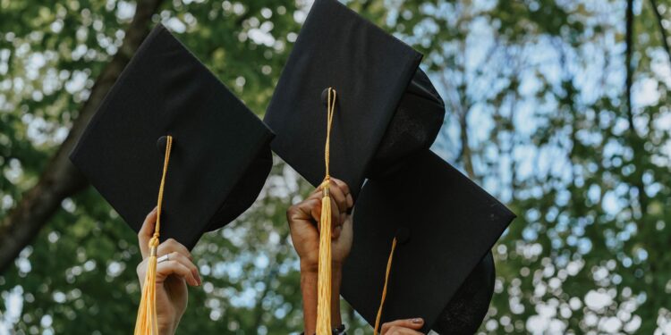 Hybrid academic councils reshape university governance