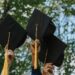 Hybrid academic councils reshape university governance