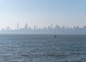 India’s Green Bond Market Gains Momentum Amid Policy Push
