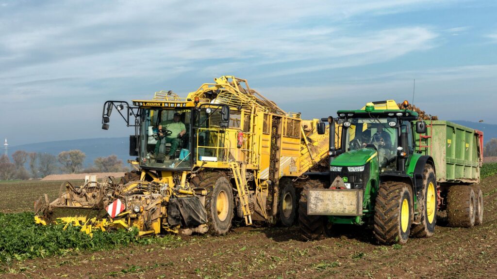Industry 4.0 reshapes rural labor markets