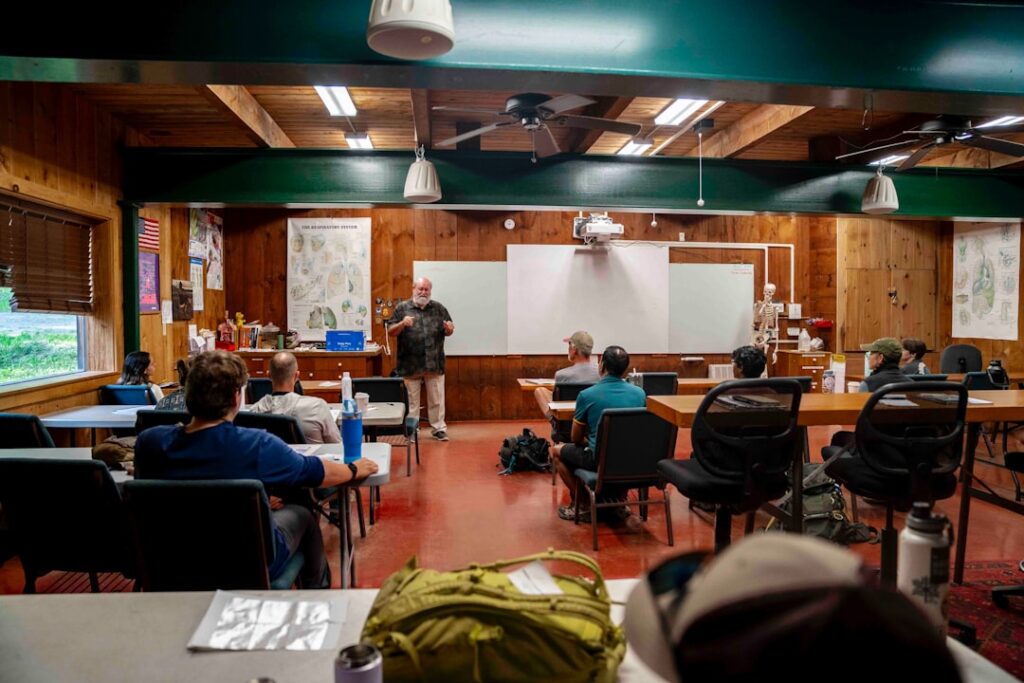 Interdisciplinary Mentorship Drives Startup Success in Diverse Ecosystems
