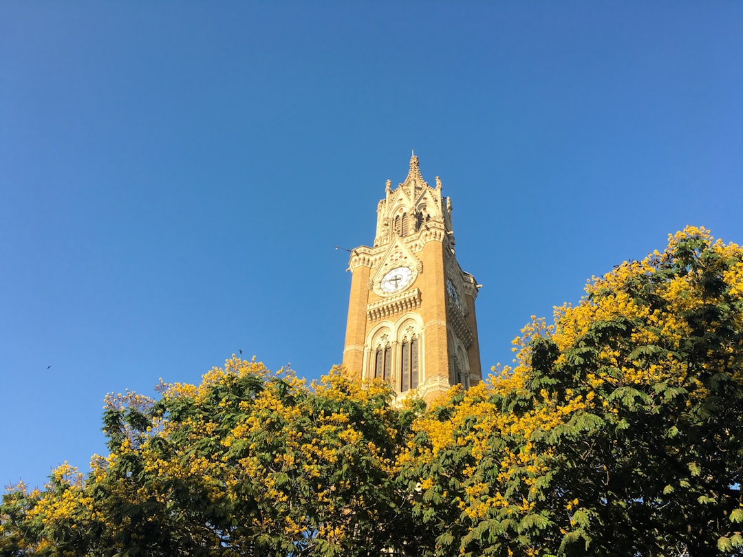 Mumbai University Blocks Admissions for 30 BEd Colleges