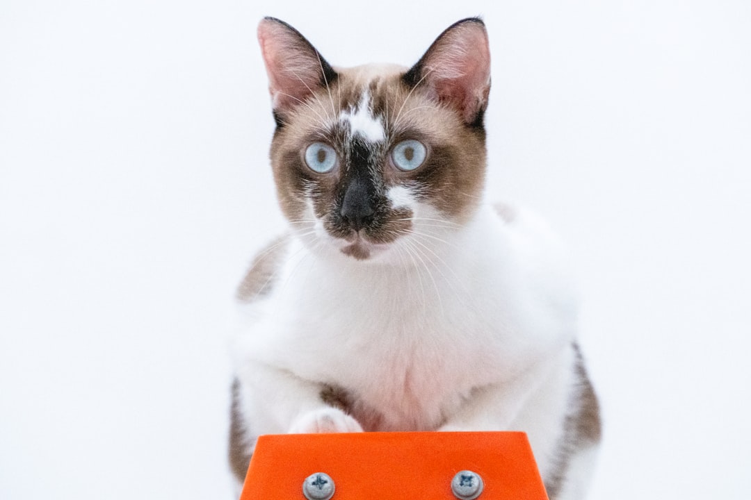 Neko Health Raises 0 Million for Health Tech Expansion