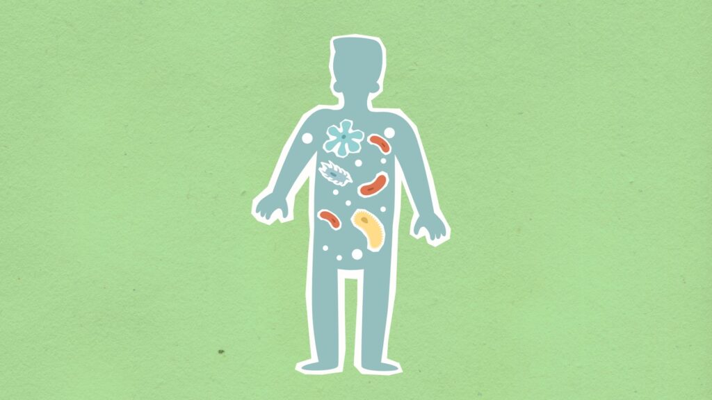 Microbiome Diversity Shapes Workplace Mental Health and Output