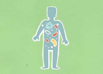 Microbiome Diversity Shapes Workplace Mental Health and Output