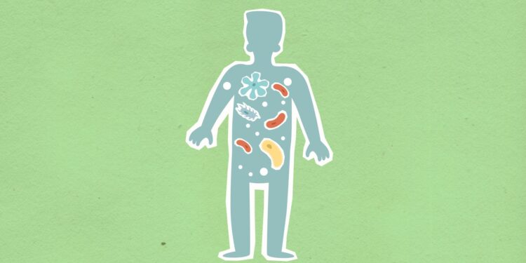 Microbiome Diversity Shapes Workplace Mental Health and Output