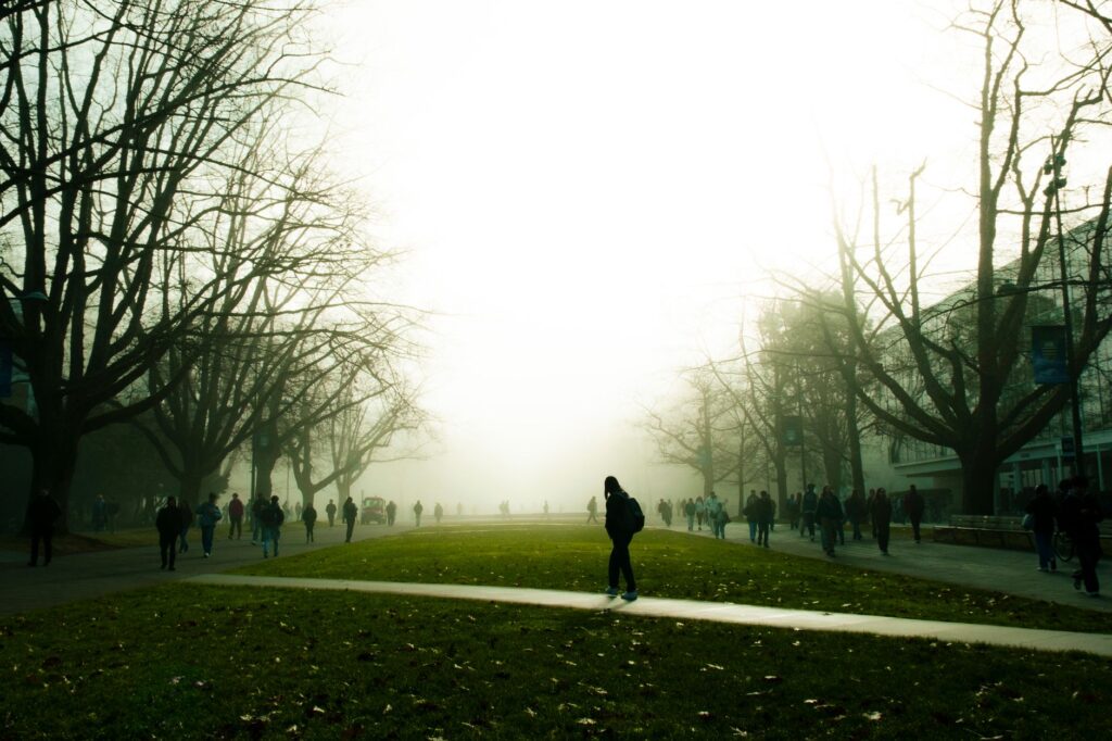 Neurodiverse Talent Drives Inclusive University Transformation
