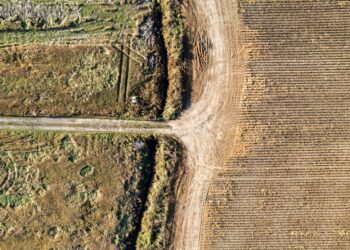 OECD green transition reshapes labor rights landscape
