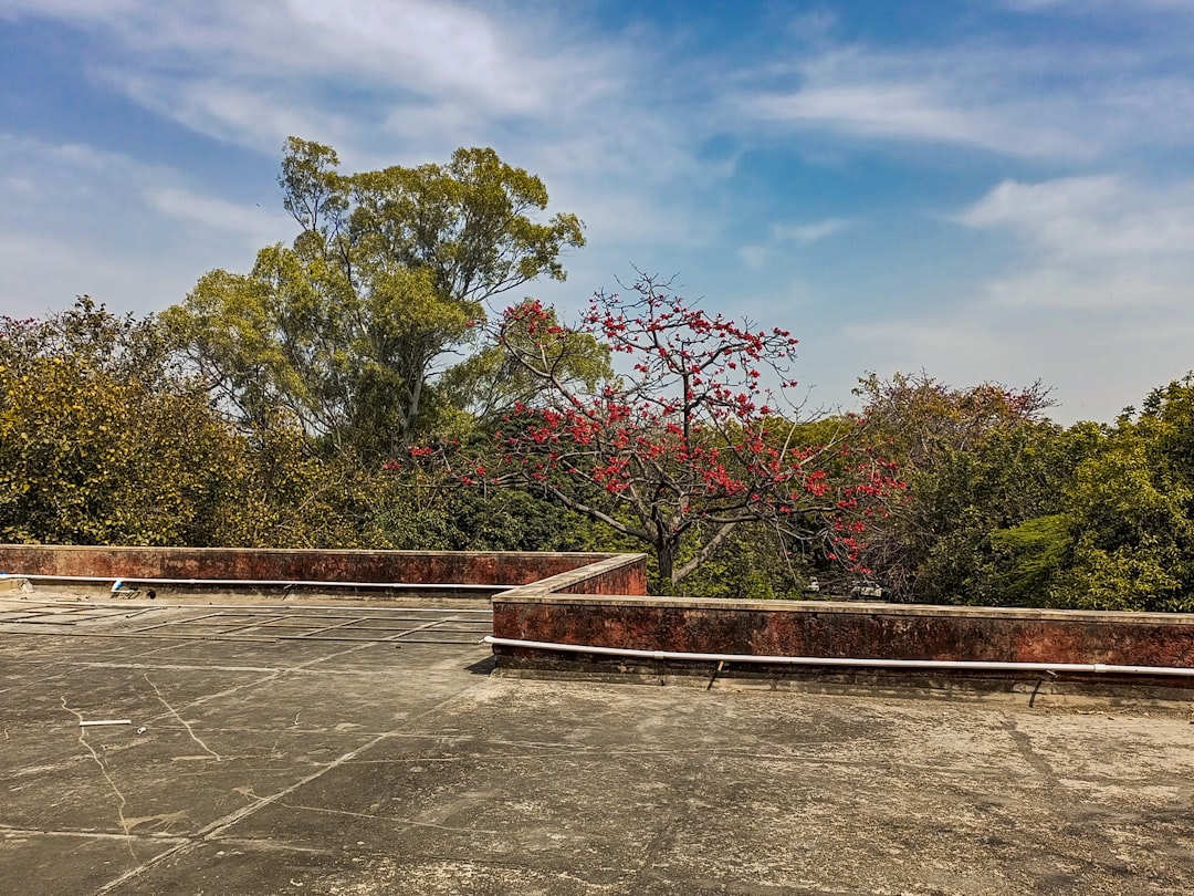 Delhi University CSAS First Seat Allocation Released