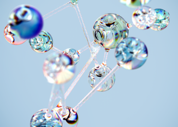 Skill transference reshapes lifelong learning agility