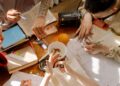 Specialized majors erode interdisciplinary innovation