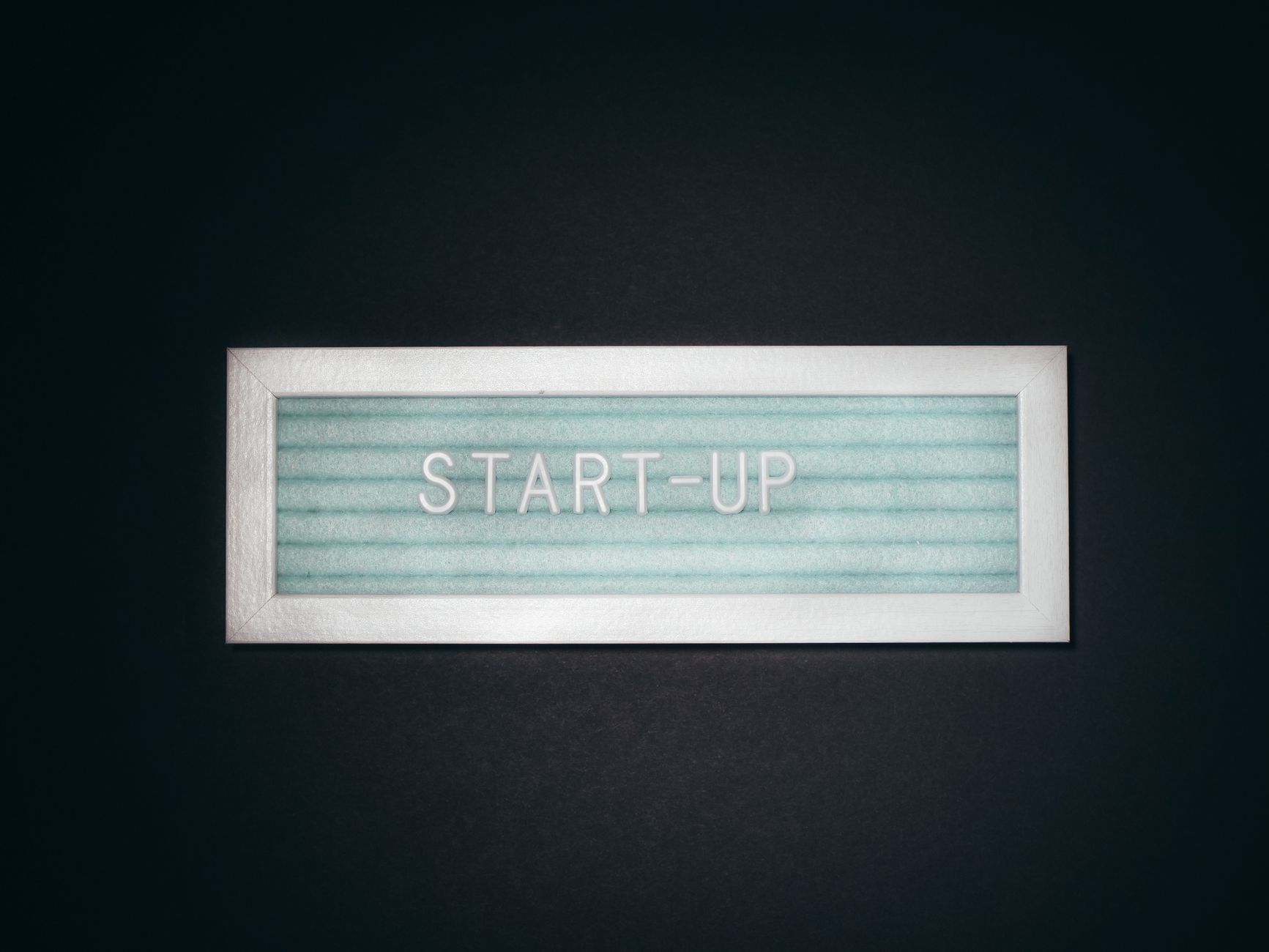 Sustainability drives brand identity for high‑growth startups
