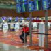 U.S. DOT Service‑Dog Air Travel Rules Remain in Effect, Creating Ongoing Challenges for Veteran Travelers