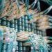 UMC Teams with Regional Universities to Deploy Advanced Optical AI Infrastructure