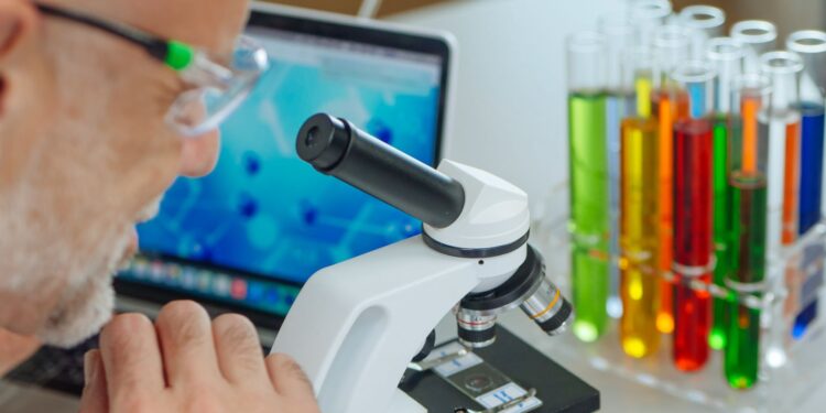 Xeltis Secures €20.5 Million to Advance Artificial Vessels and Valves