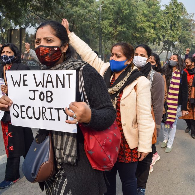 8.25% Graduates Land Jobs Aligned With Degrees