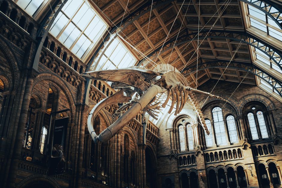 London Science Museum cuts links with BP after decades of partnership | Career Outlook