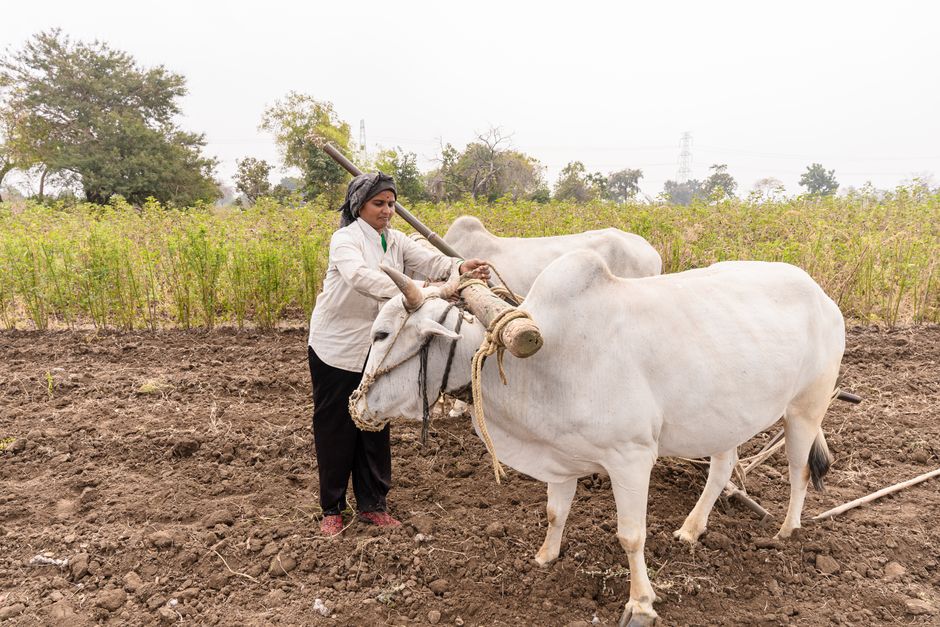 6,000 Agriculture Students Secure ₹21.35 Crore Scholarships