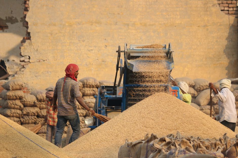 India’s Commodity Derivatives Market Sets Price Trends