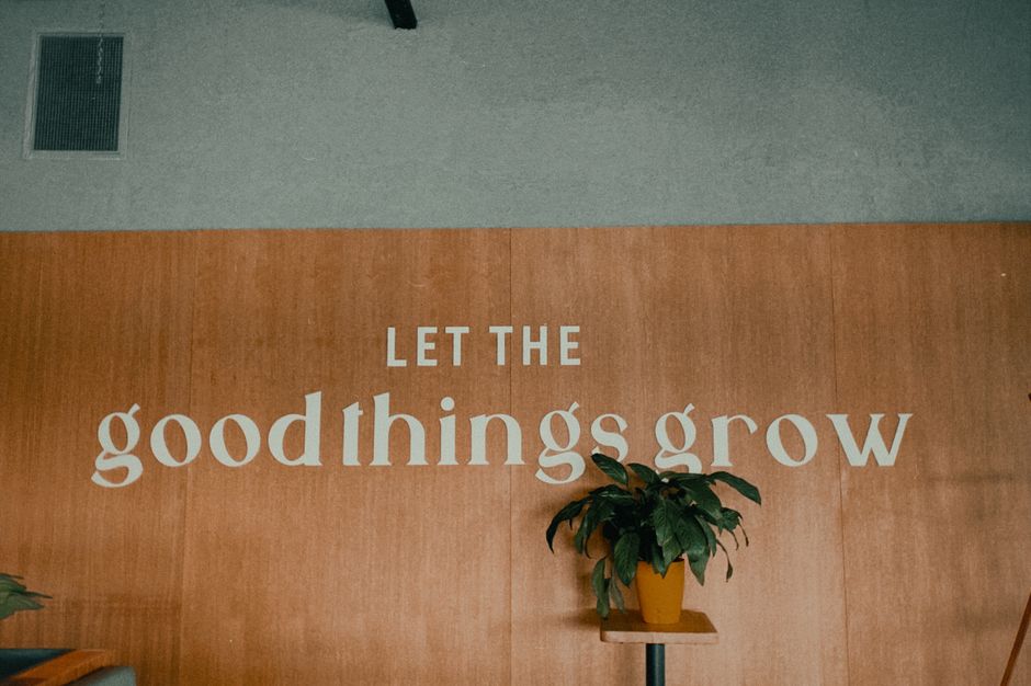 Thrive Holdings, A.I.