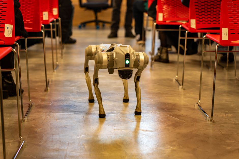 Chinese Robot Maker Unitree Soars 500 Percent