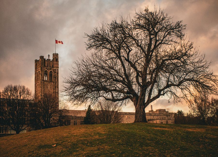 Why Canadian Universities Are Attracting U.S. Scholars