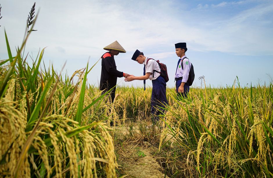 6,000 Agriculture Students Secure ₹21.35 Crore Scholarships